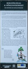 Kuhfluchtwasserfälle Informationstafel