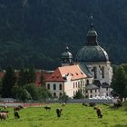 Kuhglocken und Klosterglocken