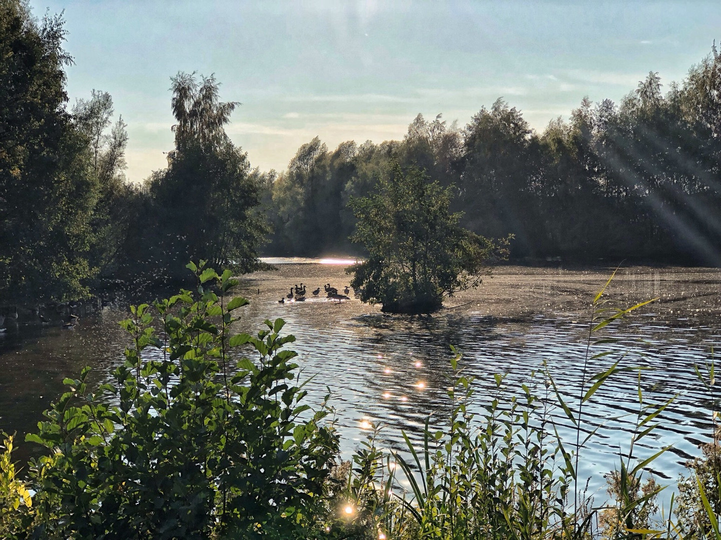 Kuhgrabensee / Bremen 