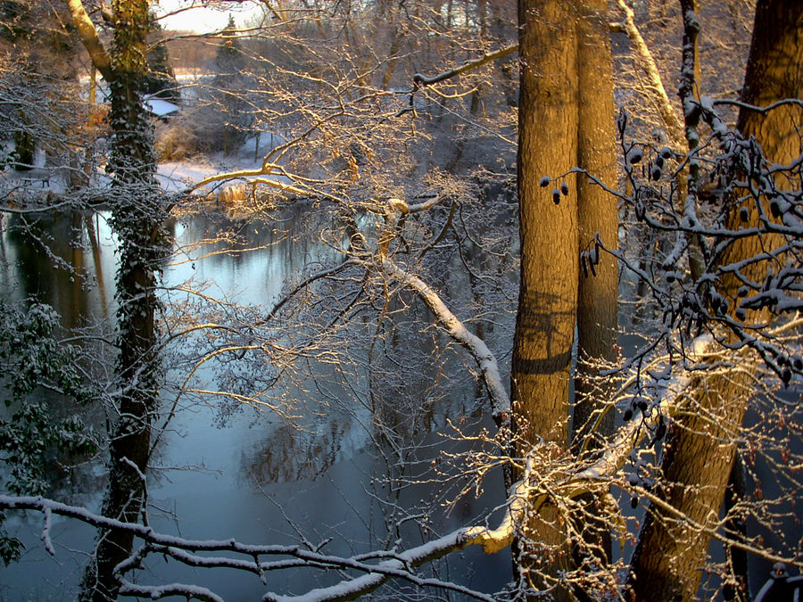 Kuhlenlandschaft am Niederrhein