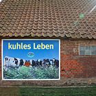 kuhles Leben