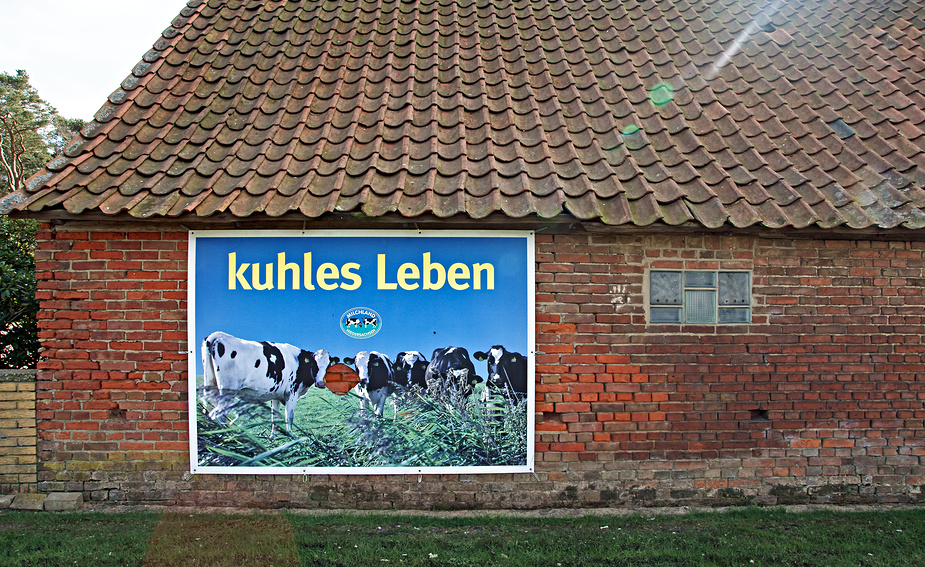 kuhles Leben