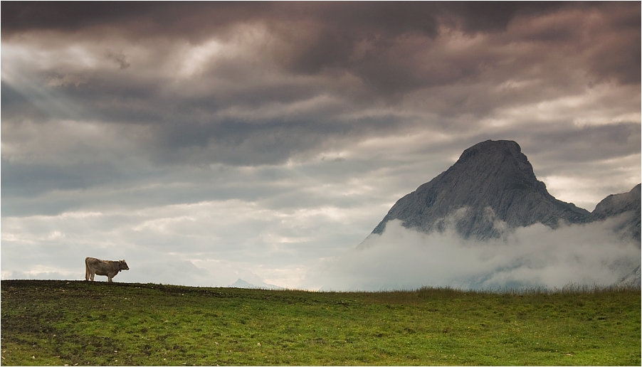 kuhles Panorama