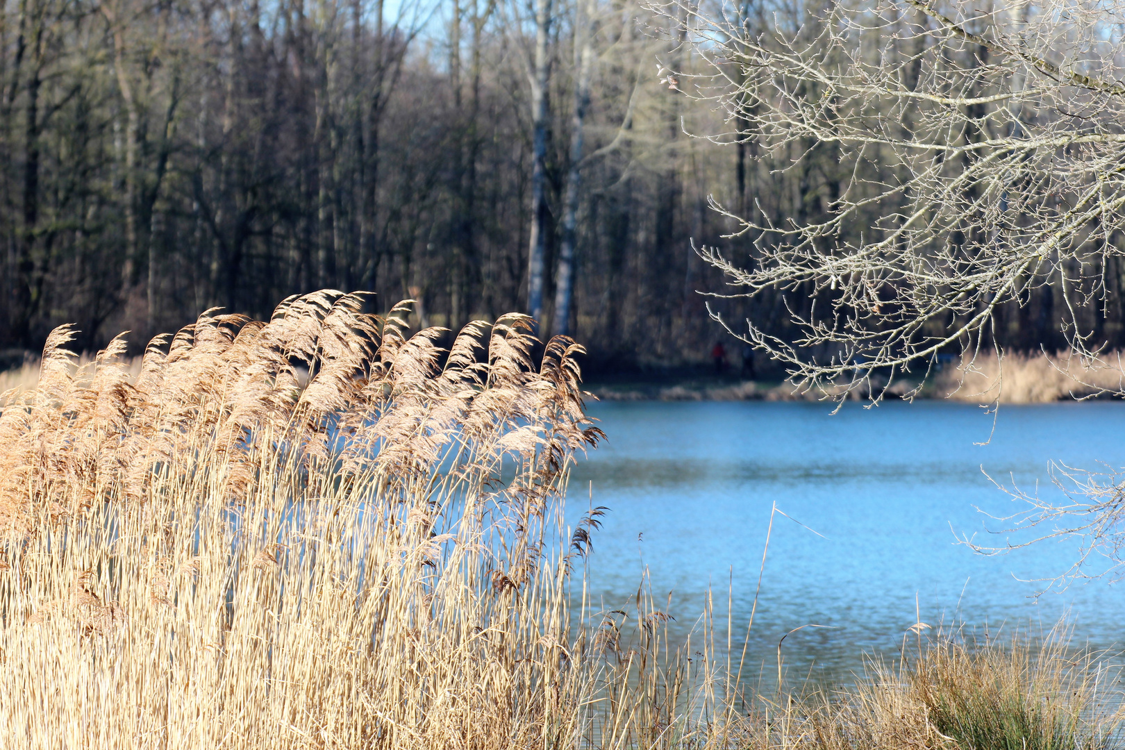 Kuhsee bei Augsburg