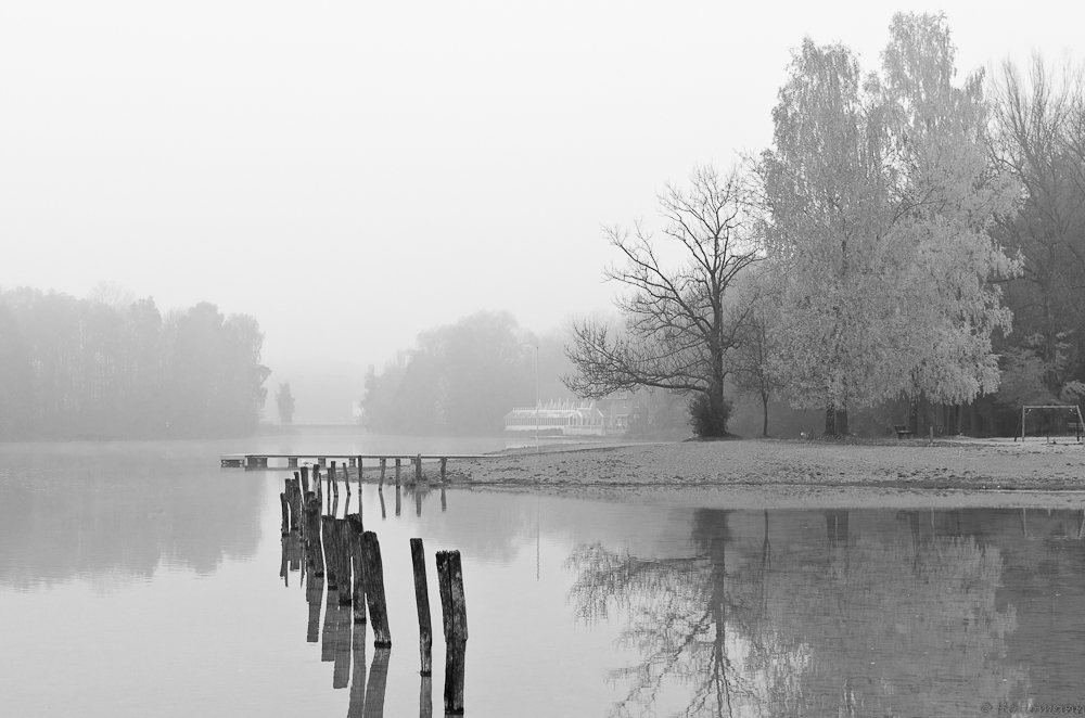 Kuhsee im Morgennebel