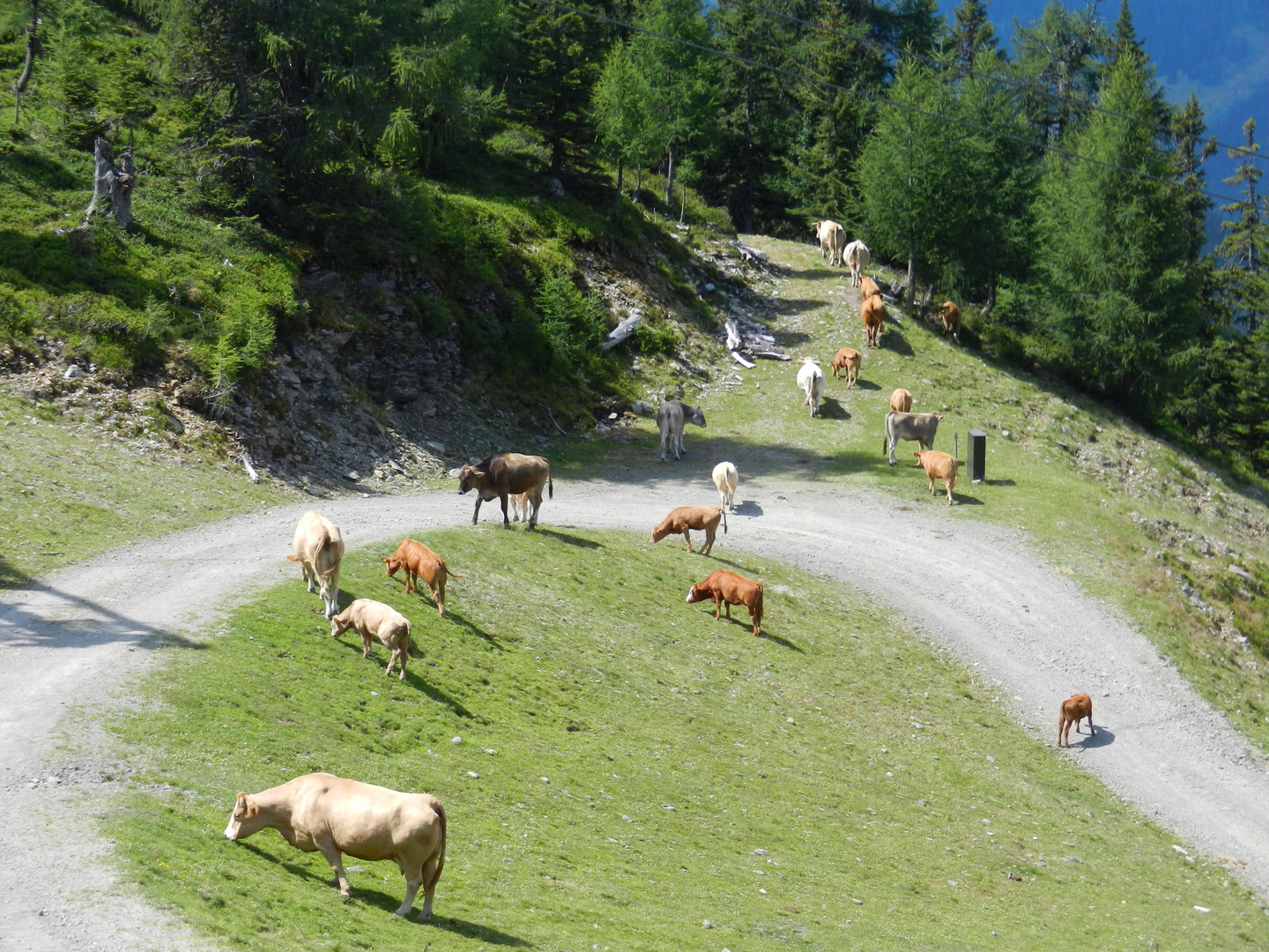 Kuhwanderweg