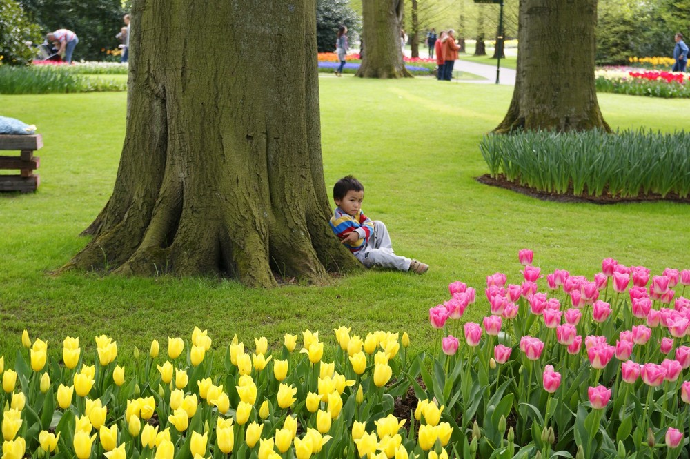 Kuikenhof,Holland 2