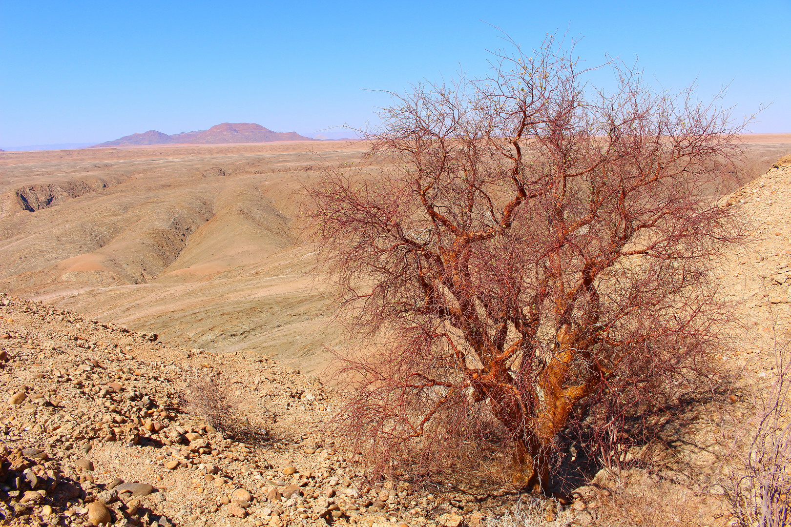 Kuiseb Canyon