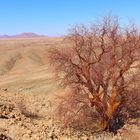 Kuiseb Canyon