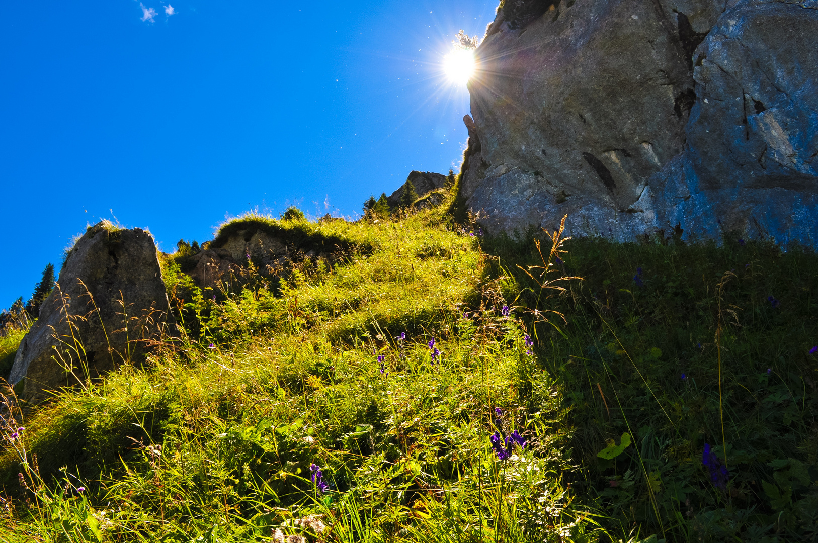 Kulisse am Aggenstein