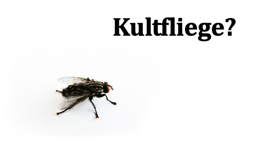 Kultfliege?