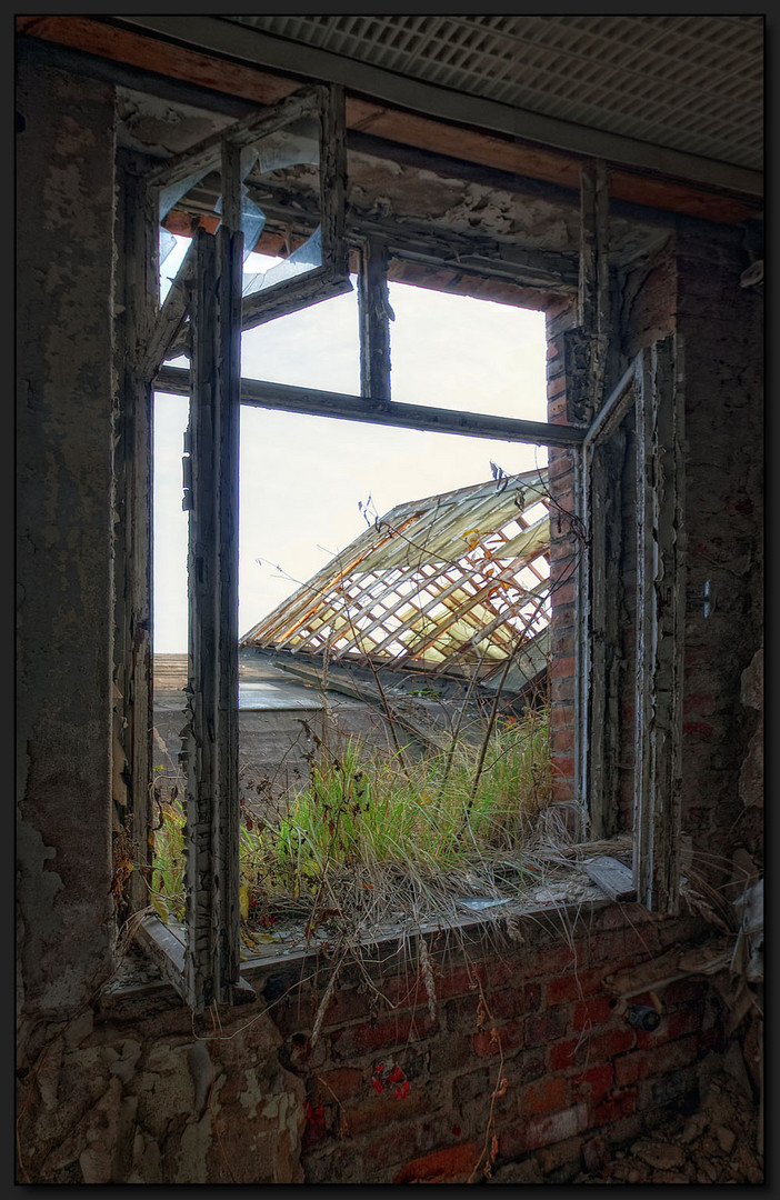 ...Kultur auf der Fensterbank...