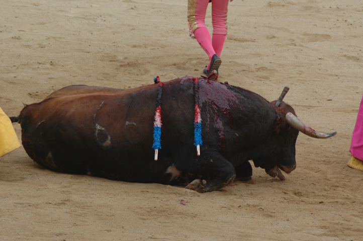 Kultur in Spanien