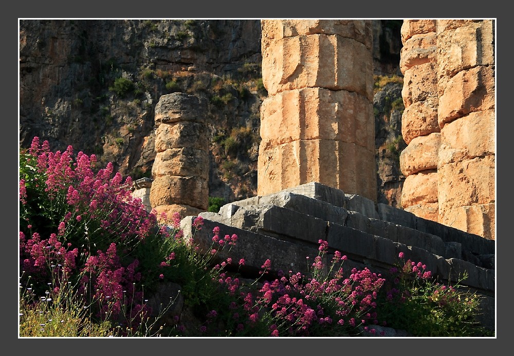 Kultur und Natur im Einklang - Delphi Mai 2009