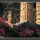 Kultur und Natur im Einklang - Delphi Mai 2009