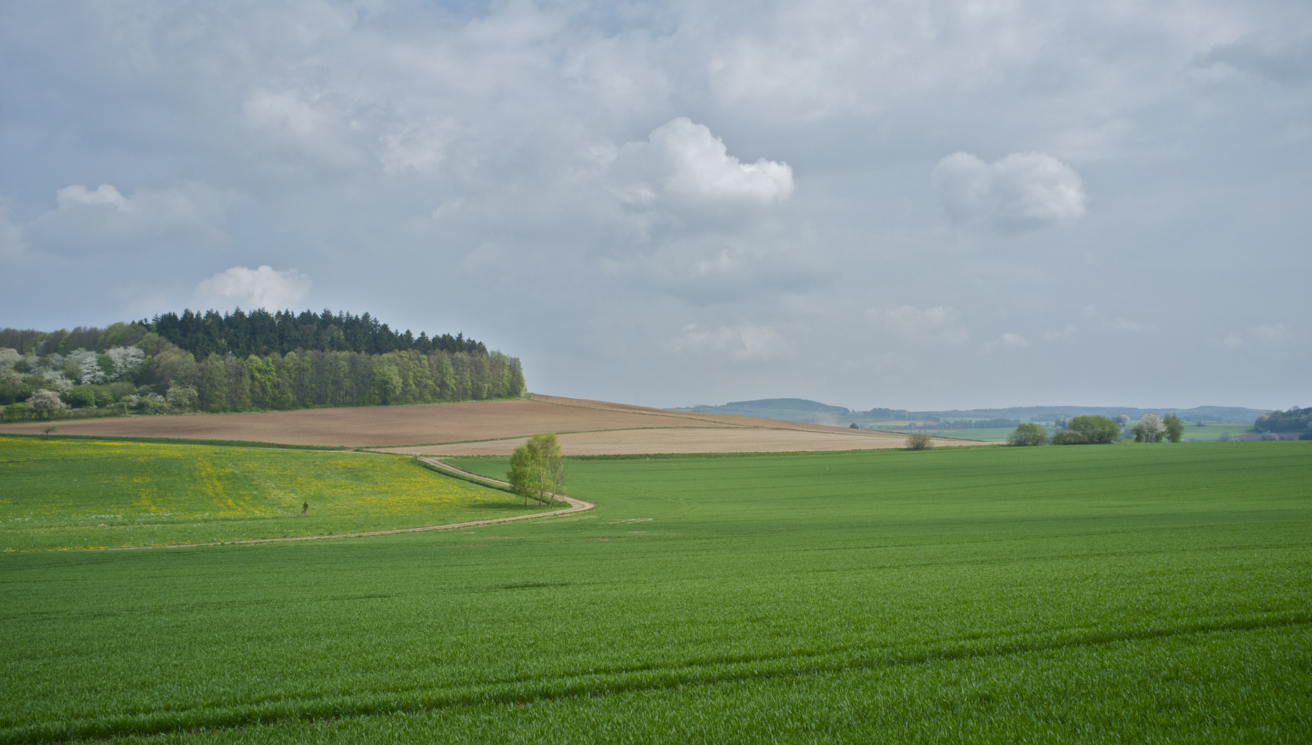 Kultur versus Natur