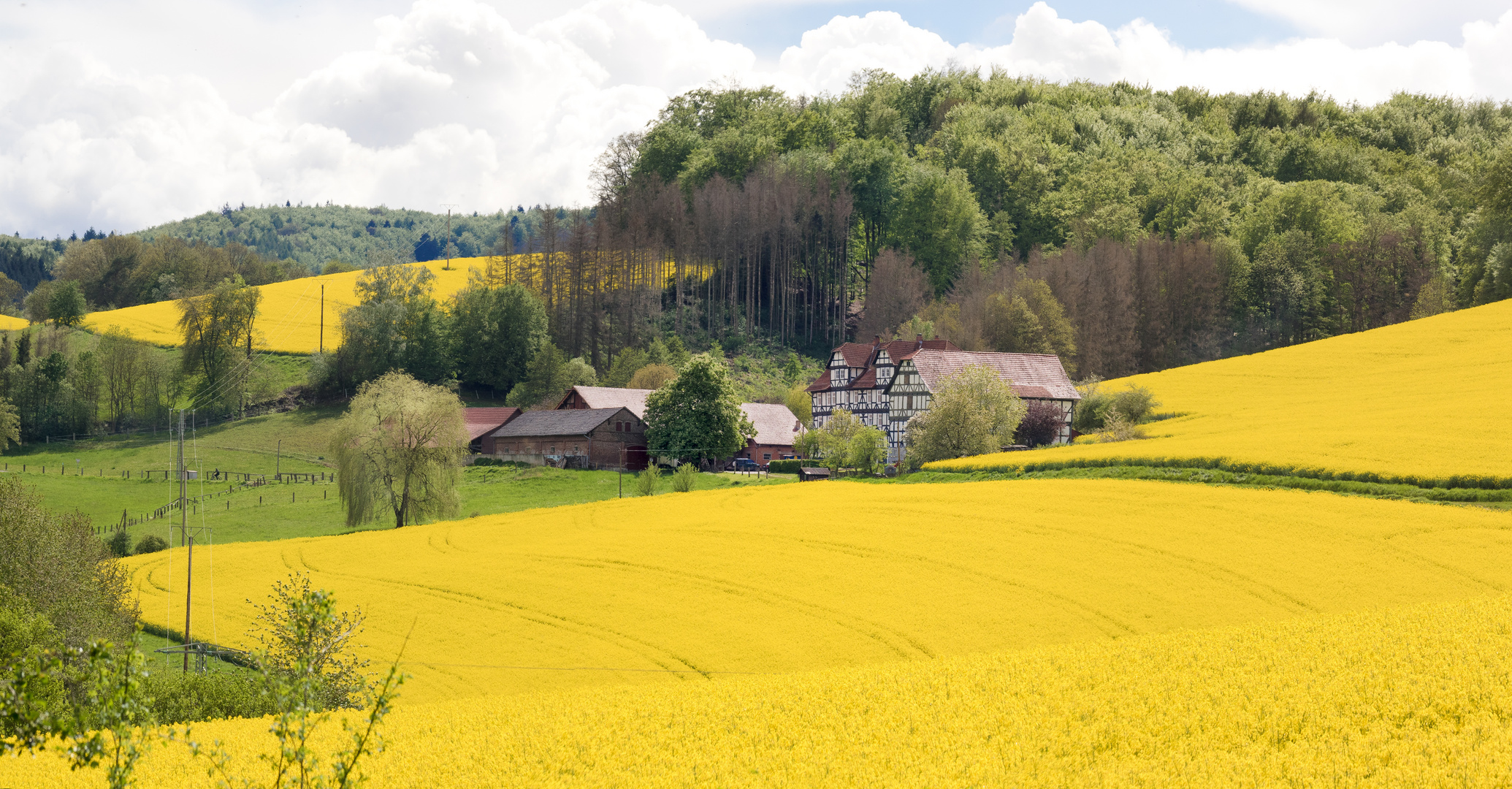 kulturlandschaft