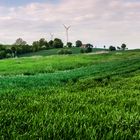 Kulturlandschaft bei Atteln, NRW