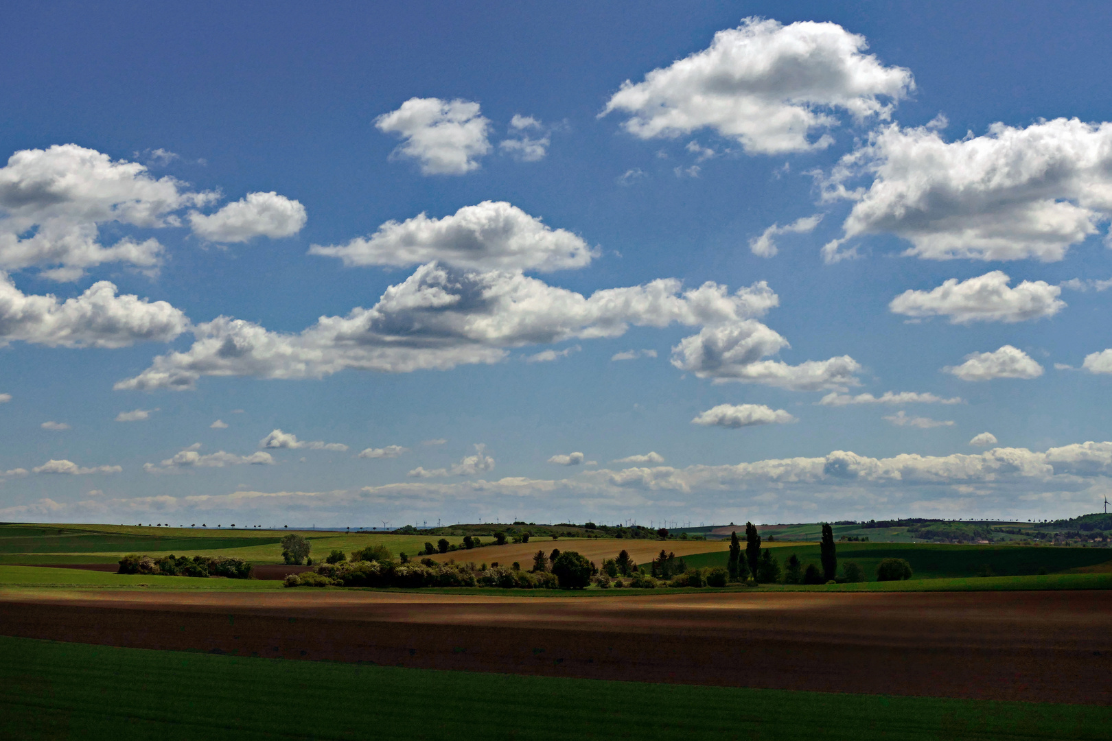 Kulturlandschaft bei Evessen