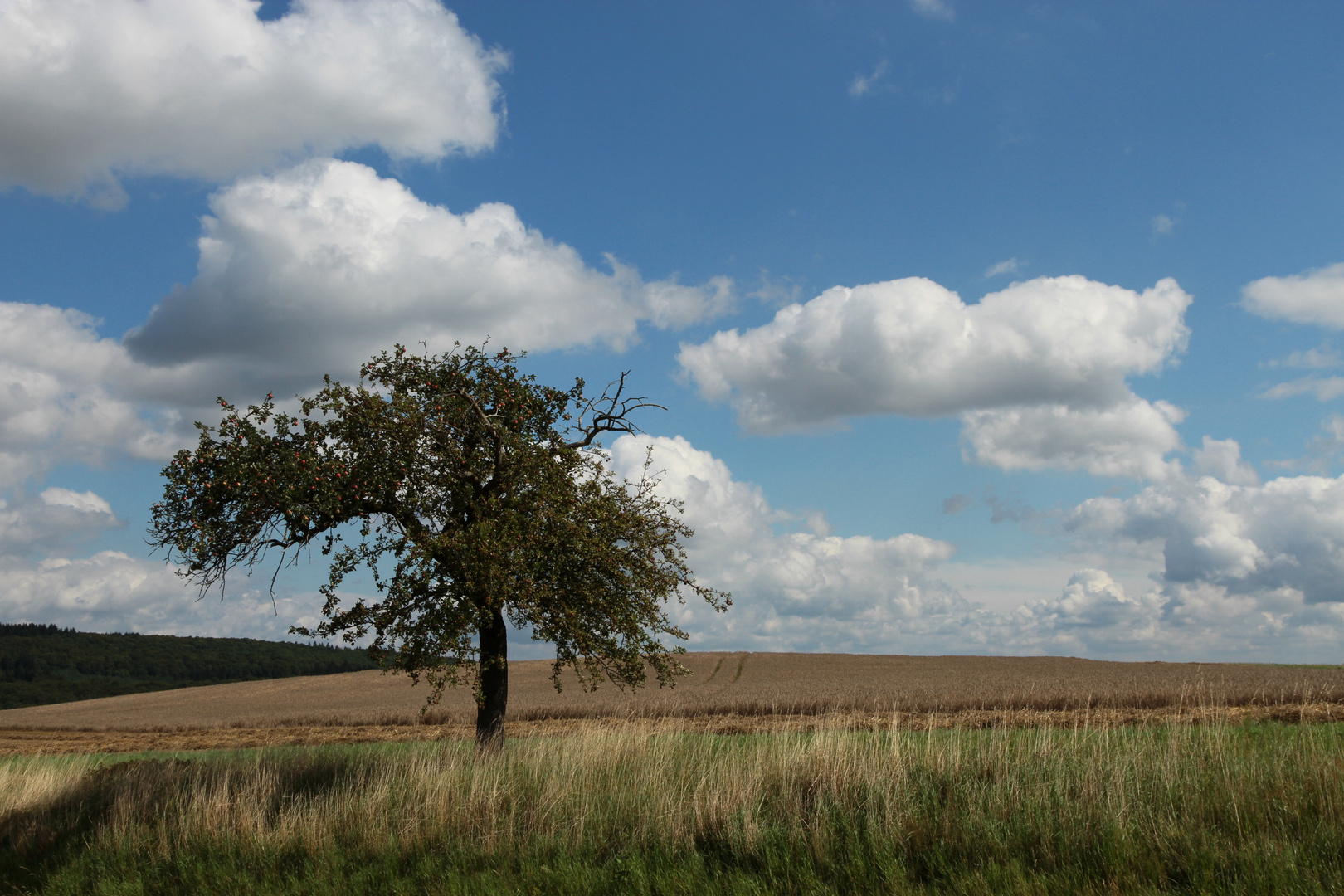 Kulturlandschaft Hochtaunus