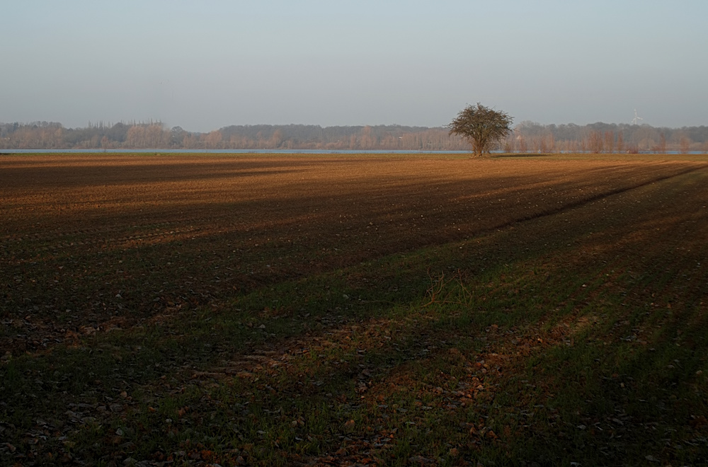 Kulturlandschaft im Herbst...