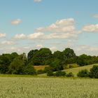 Kulturlandschaft im Sommer - das Weserbergland