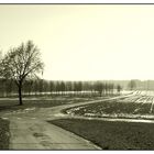 Kulturlandschaft/ landscape in South Germany