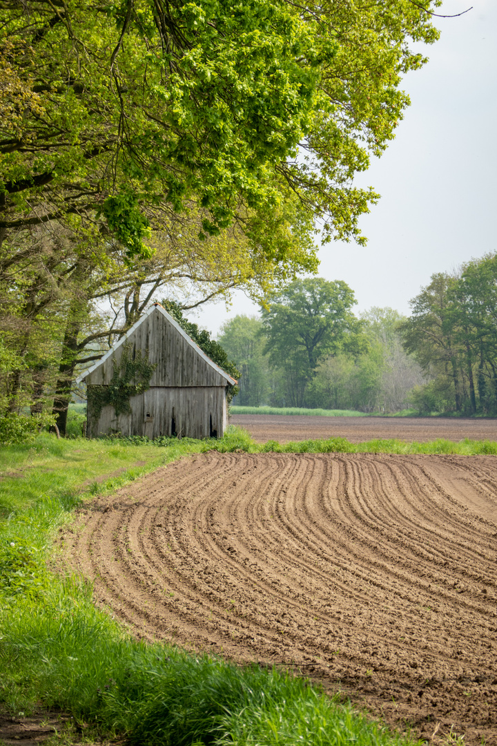 Kulturlandschaft Münsterland / Oeding an der holländischen Grenze