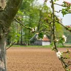 Kulturlandschaft Münsterland / Oeding an der holländischen Grenze