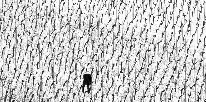 Kulturlandschaft muss gepflegt werden....