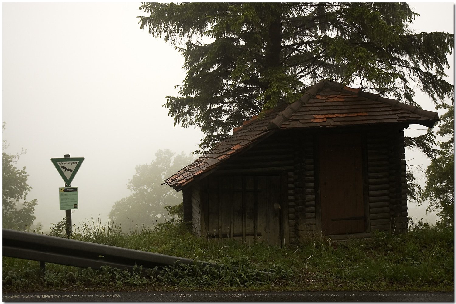 Kulturlandschaft Schwäbische Alb: Bissinger Eichhalde im Nebel