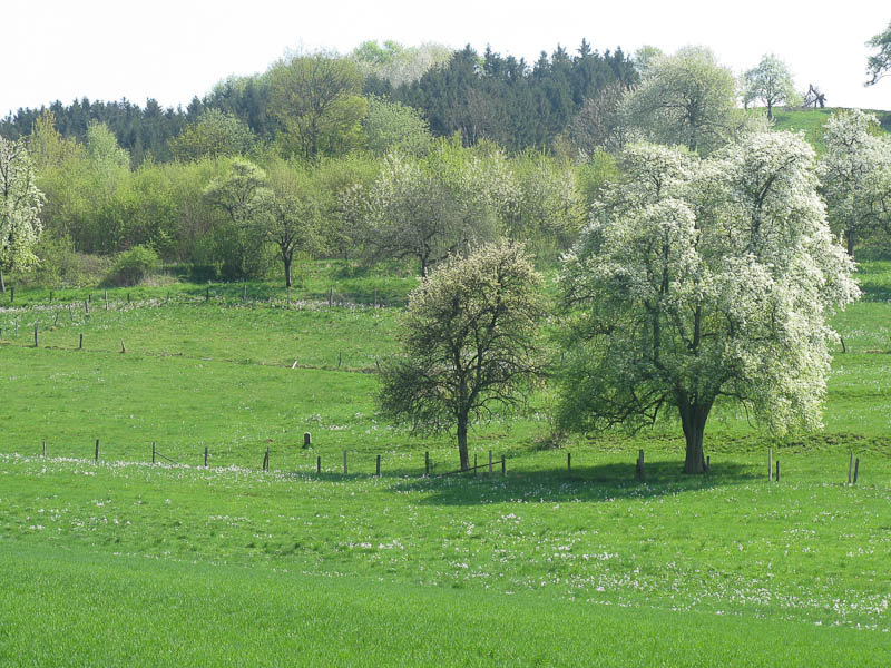 Kulturlandschaftspfad Gnadental #3 / Aussichten