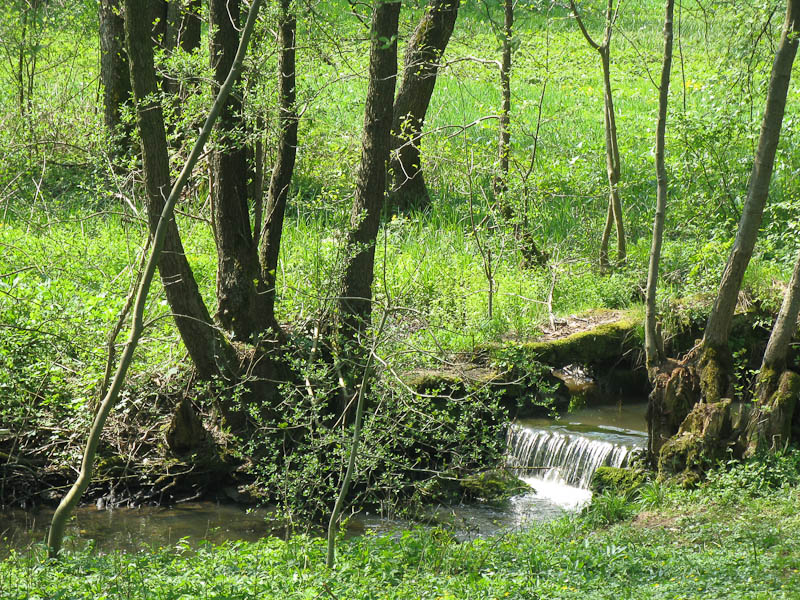 Kulturlandschaftspfad Gnadental #4 / Stauwehr