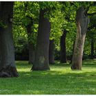 Kulturpark Neubrandenburg