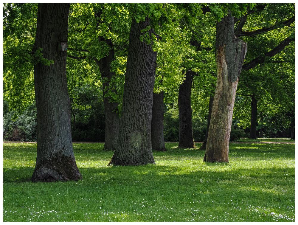 Kulturpark Neubrandenburg