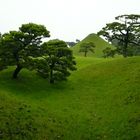 Kumamoto - Suizenji Jojuen Park