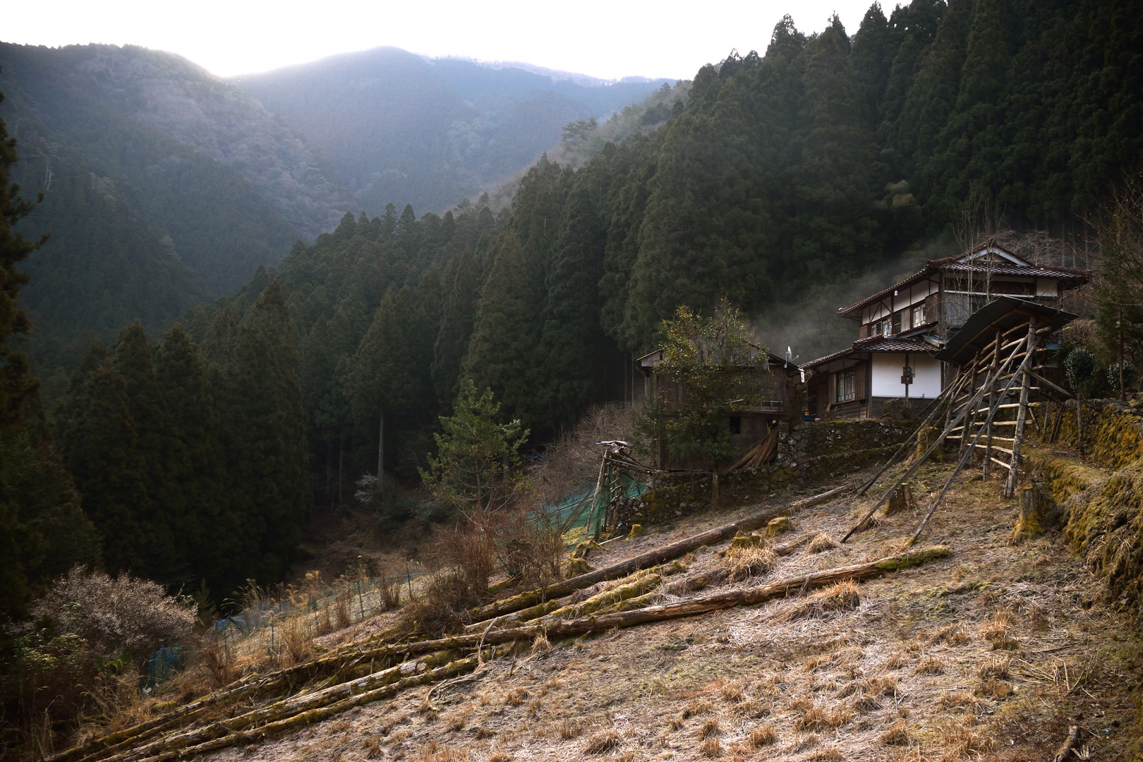 Kumano Kodo Kohechi