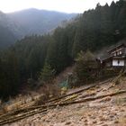 Kumano Kodo Kohechi