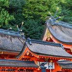 Kumano Nachi-Taisha Schrein