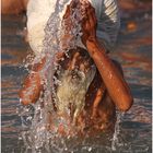 Kumbh Mela 2010 in Haridwar, Michael Schiel, Bild 32