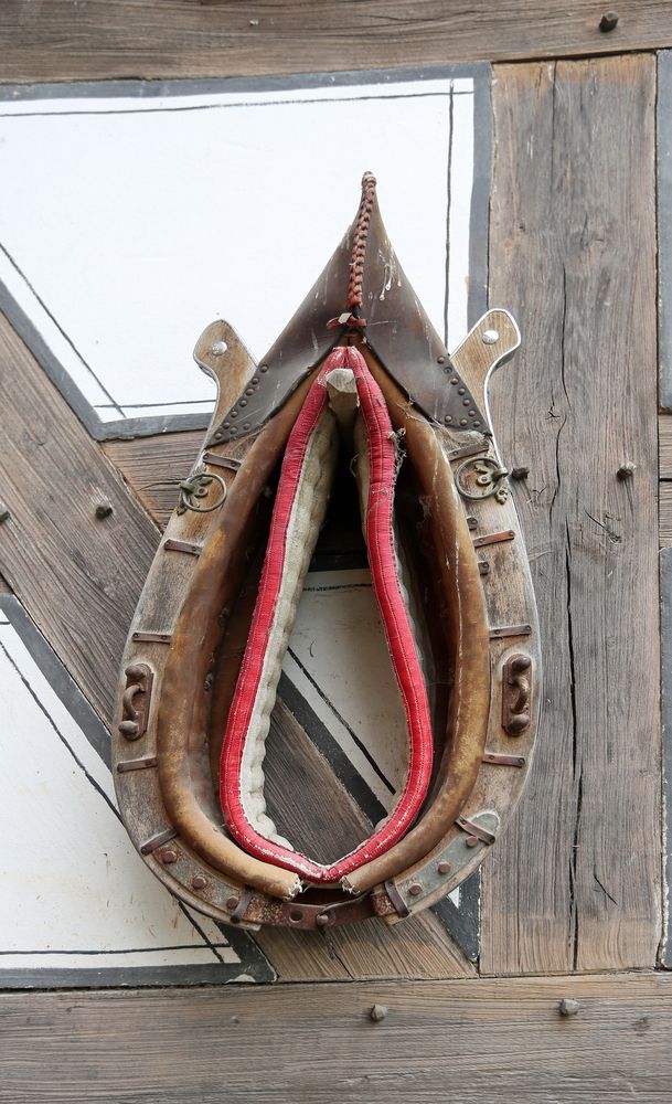 Kummet Foto & Bild foto, bild, haustiere Bilder auf