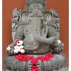 Kumpel Ganesha