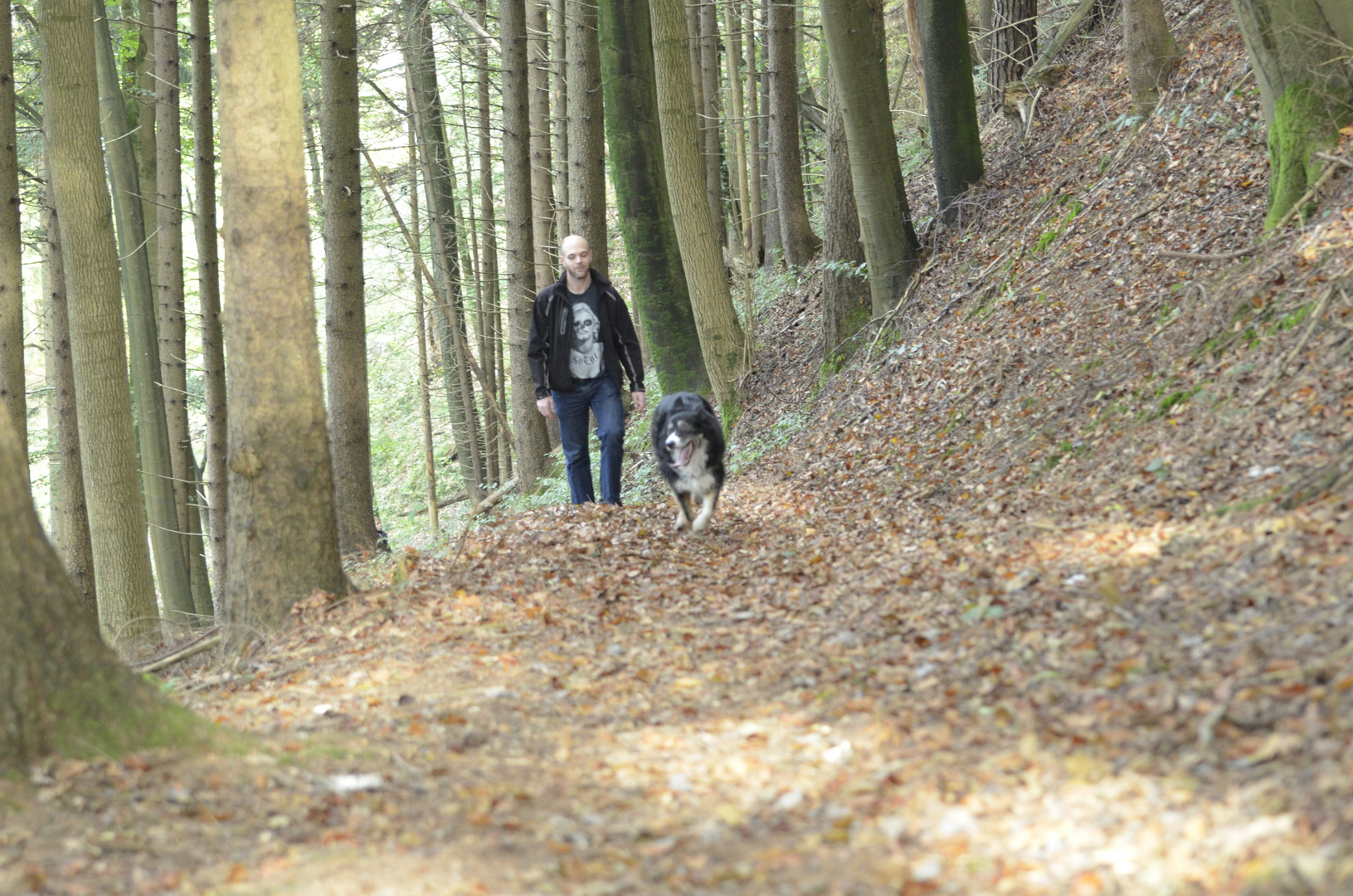 Kumpels im Wald