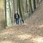 Kumpels im Wald