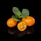 Kumquats 5 (focus stacking)