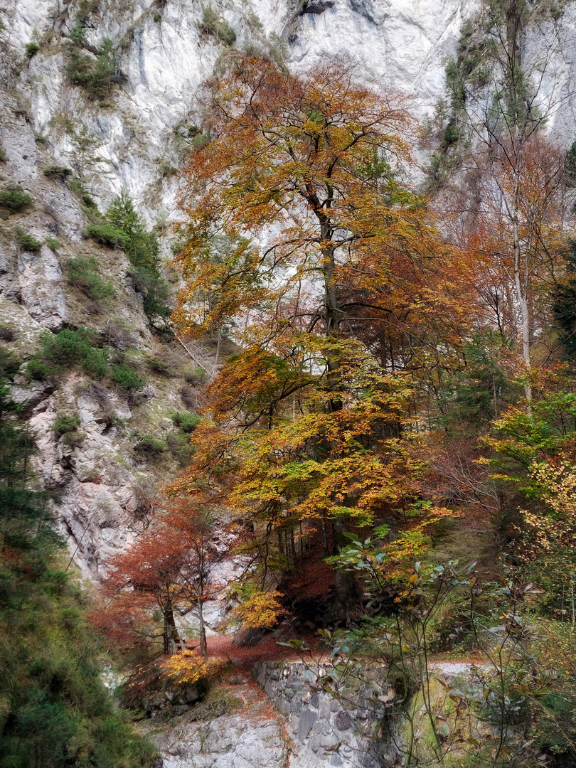 Kundler Klamm, Österreich 