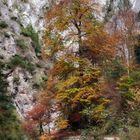 Kundler Klamm, Österreich 