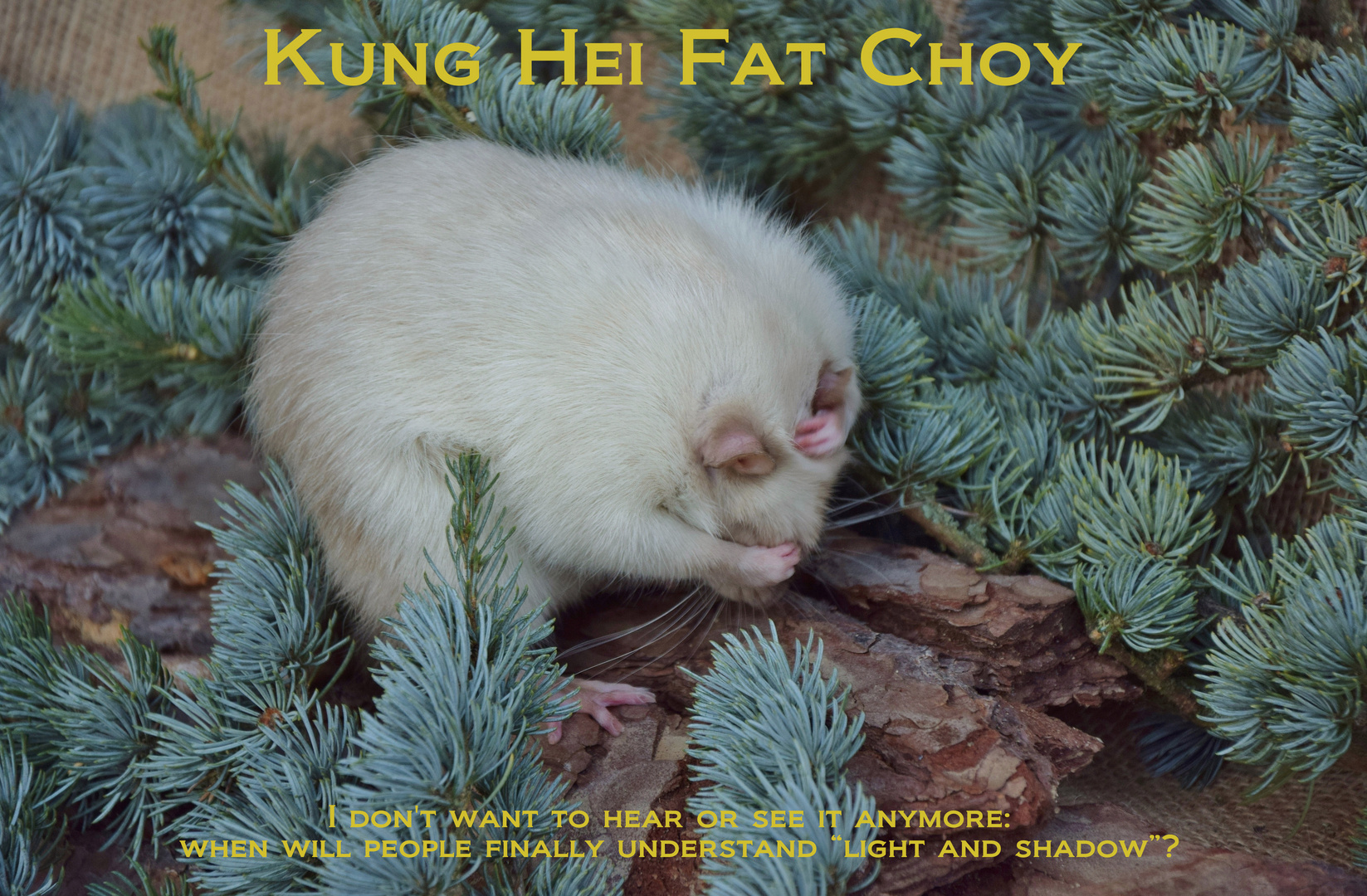 Kung Hei Fat Choy 2020_20