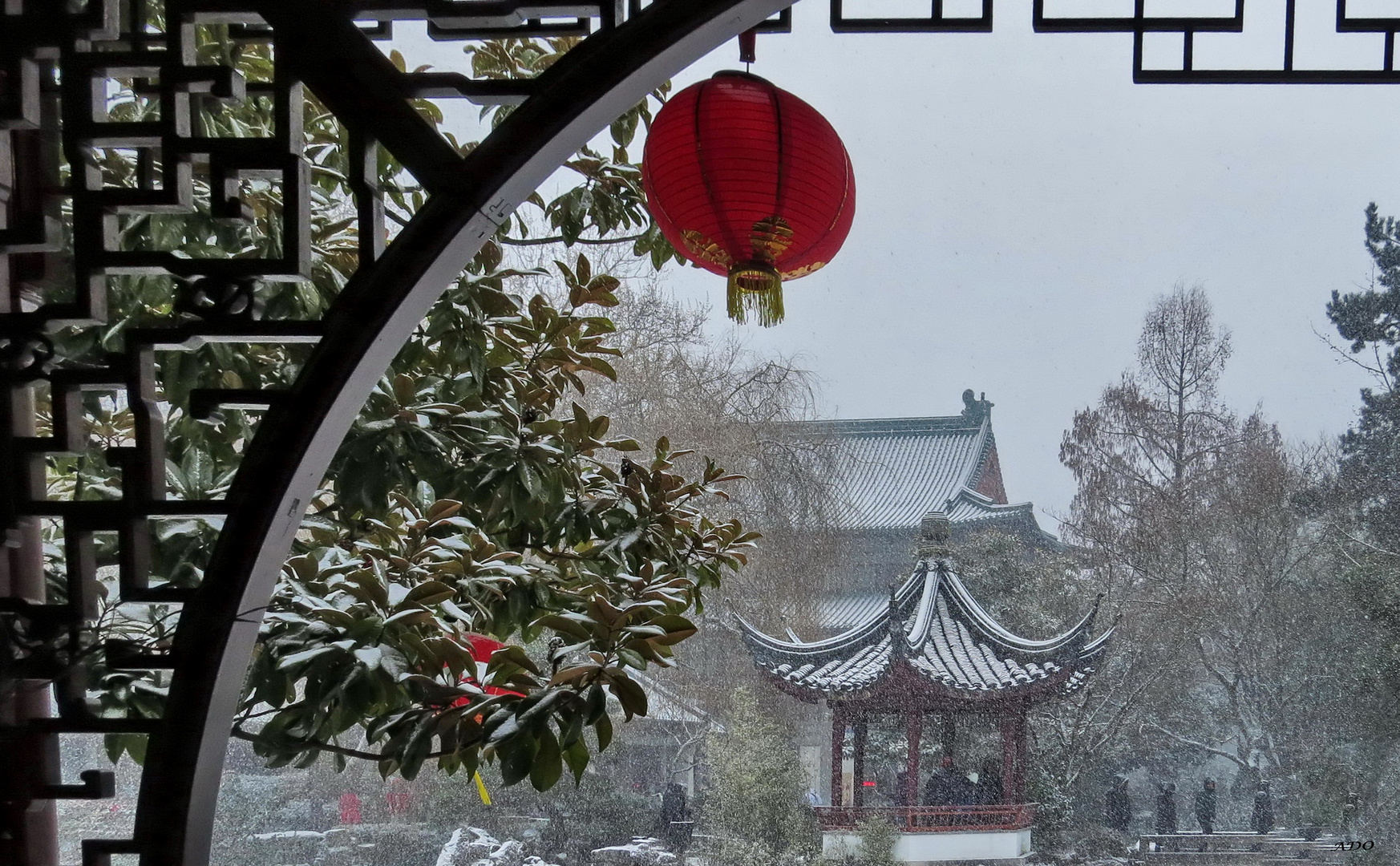 Kung Hei Fat Choy