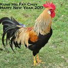 Kung Hei Fat Choy - Happy New Year 2017
